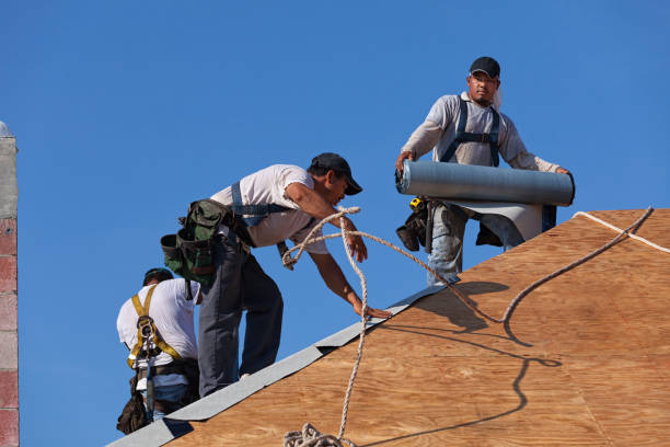 Best Roof Maintenance Services  in Cherry Brah, NC