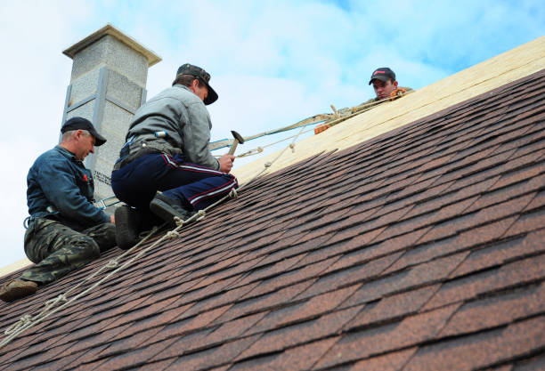 Roof Gutter Cleaning in Cherry Branch, NC